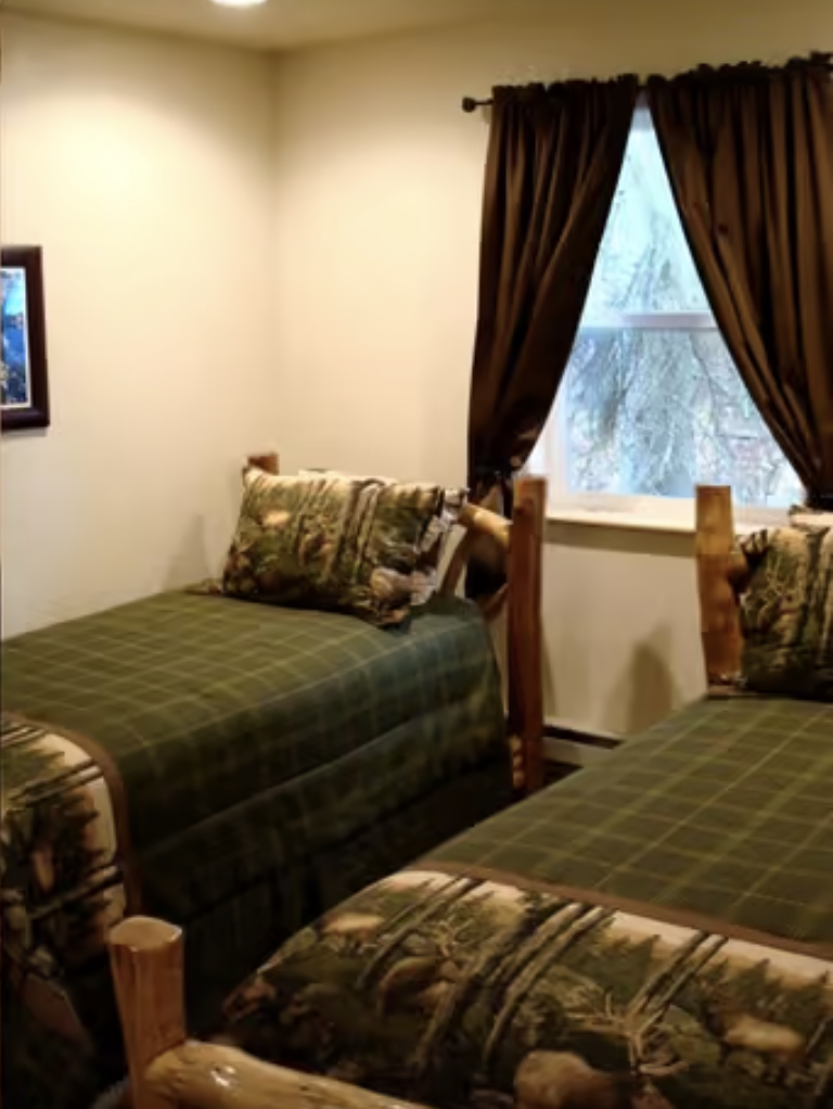 Twin log beds in cabin bedroom