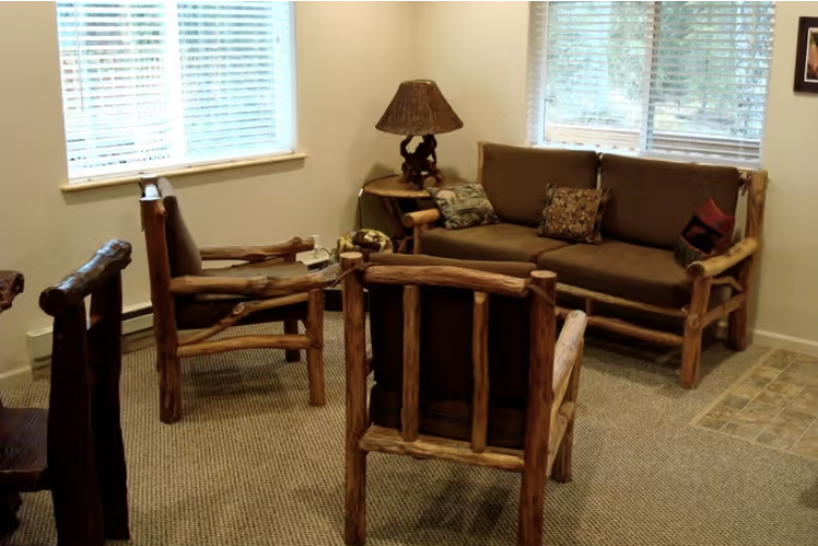 Log-furnished living room