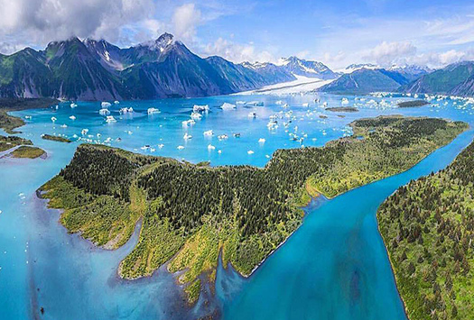 Kenai Fjords & Exit Glacier