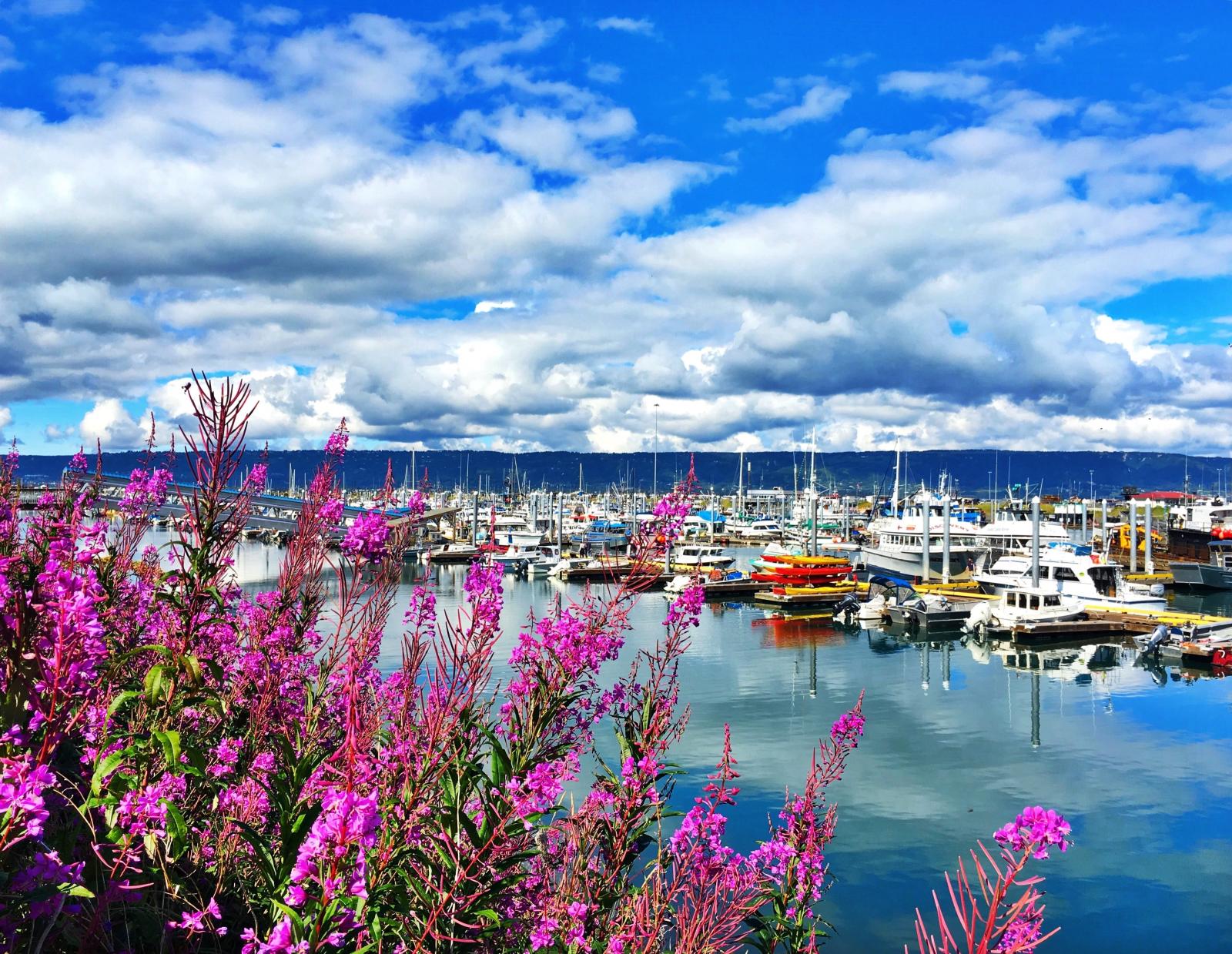 Homer Harbor at the end of the Spit